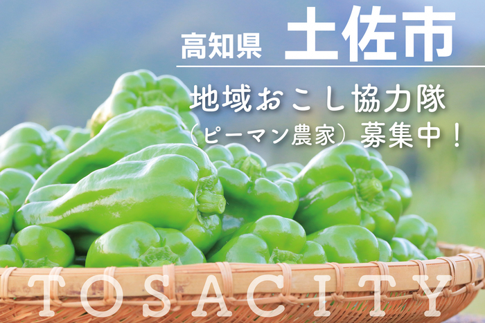 協力隊募集